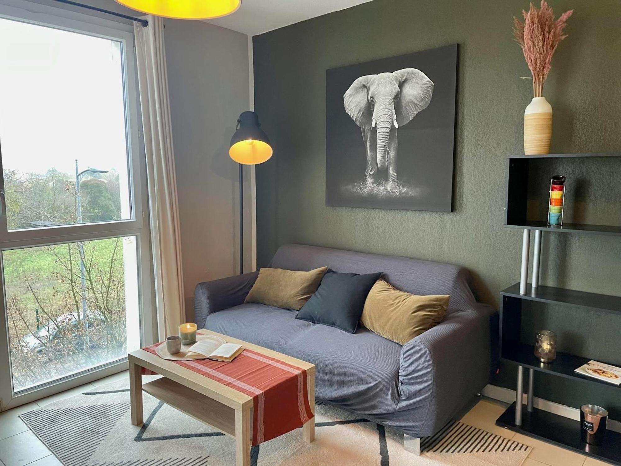 Le Colorado - Appartement Proche Airbus Colomiers Exteriér fotografie